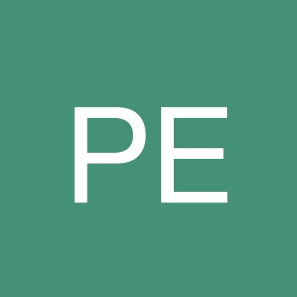 paevs319